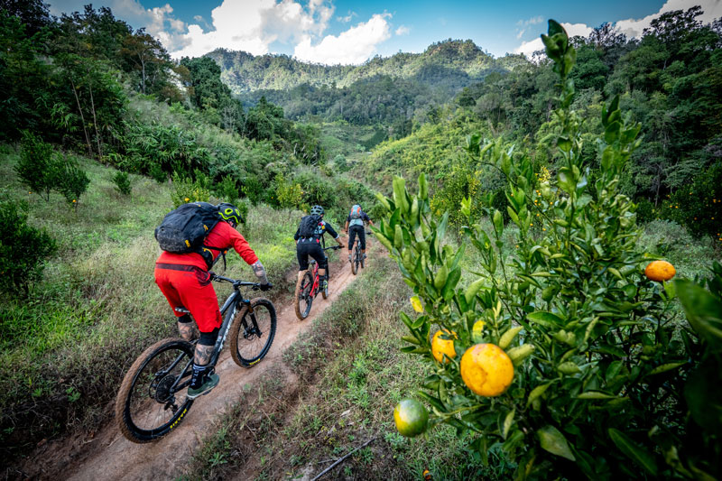 Chiang Mai cycling to Chiang Dao 2 Days